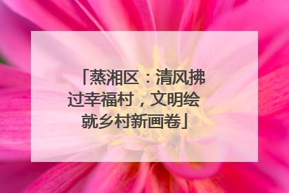 蒸湘区：清风拂过幸福村，文明绘就乡村新画卷