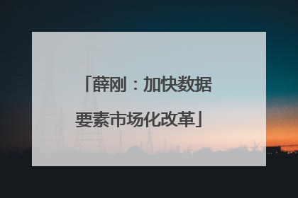 薛刚：加快数据要素市场化改革