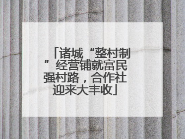 诸城“整村制”经营铺就富民强村路，合作社迎来大丰收