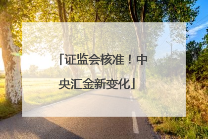 证监会核准！中央汇金新变化