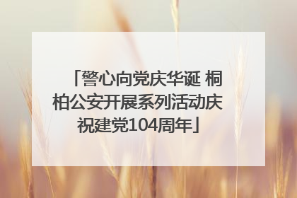 警心向党庆华诞 桐柏公安开展系列活动庆祝建党104周年
