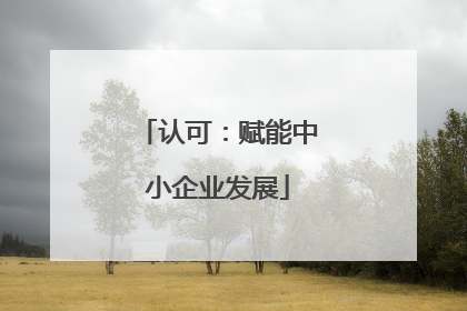 认可：赋能中小企业发展