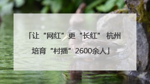 让“网红”更“长红” 杭州培育“村播”2600余人