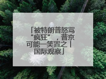 被特朗普怒骂“疯狂”，普京可能一笑置之丨国际观察