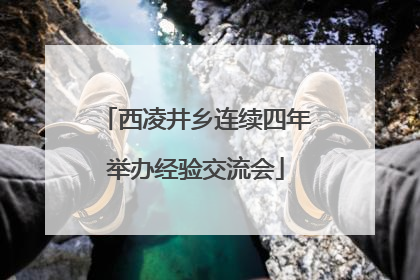 西凌井乡连续四年举办经验交流会