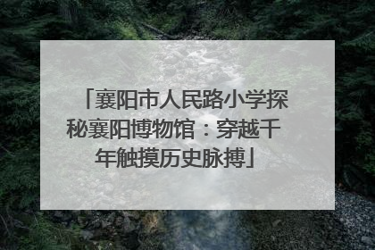襄阳市人民路小学探秘襄阳博物馆：穿越千年触摸历史脉搏