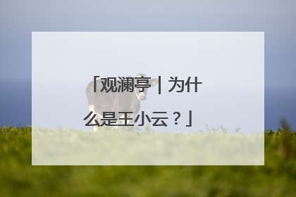 观澜亭｜为什么是王小云？