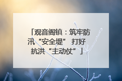 观音阁镇：筑牢防汛“安全堤” 打好抗洪“主动仗”