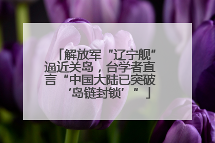 解放军“辽宁舰”逼近关岛，台学者直言“中国大陆已突破‘岛链封锁’”