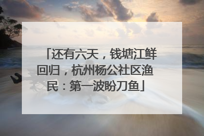 还有六天，钱塘江鲜回归，杭州杨公社区渔民：第一波盼刀鱼