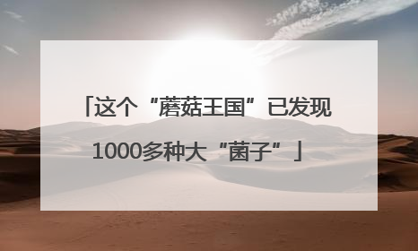 这个“蘑菇王国”已发现1000多种大“菌子”