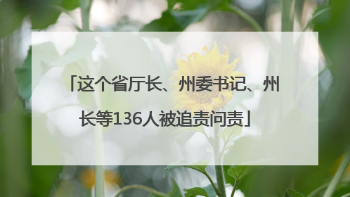 这个省厅长、州委书记、州长等136人被追责问责