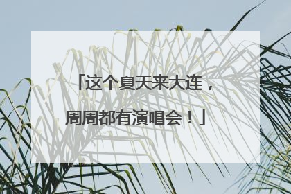 这个夏天来大连，周周都有演唱会！