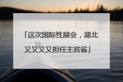 这次国际性展会，湖北又又又又担任主宾省