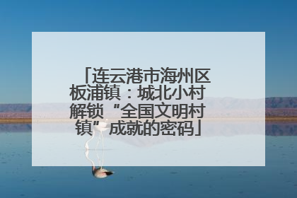 连云港市海州区板浦镇：城北小村解锁“全国文明村镇”成就的密码