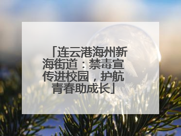 连云港海州新海街道：禁毒宣传进校园，护航青春助成长