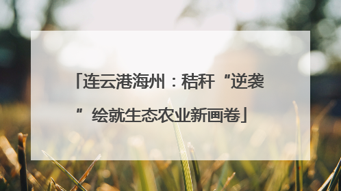 连云港海州：秸秆“逆袭”绘就生态农业新画卷
