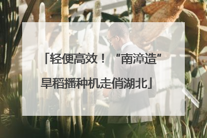 轻便高效！“南漳造”旱稻播种机走俏湖北