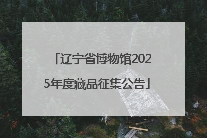 辽宁省博物馆2025年度藏品征集公告