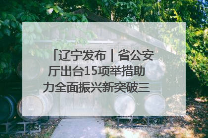 辽宁发布｜省公安厅出台15项举措助力全面振兴新突破三年行动决胜之战