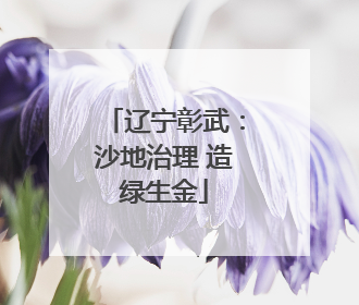 辽宁彰武：沙地治理 造绿生金