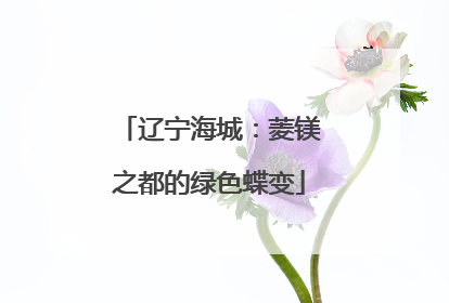 辽宁海城：菱镁之都的绿色蝶变