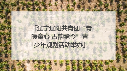 辽宁辽阳共青团“青暖童心 古韵承今”青少年观剧活动举办