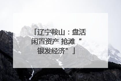 辽宁鞍山：盘活闲置资产 抢滩“银发经济”