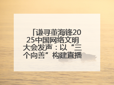 谦寻董海锋2025中国网络文明大会发声：以“三个向善”构建直播电商善意长河