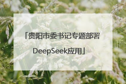 贵阳市委书记专题部署DeepSeek应用