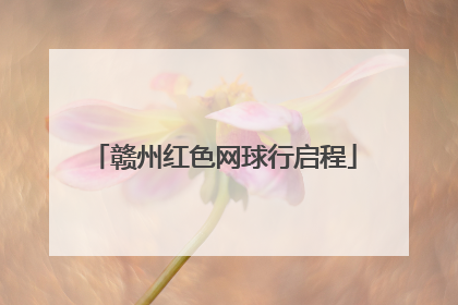 赣州红色网球行启程