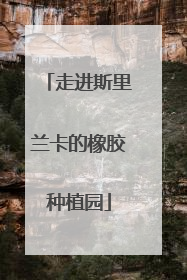 走进斯里兰卡的橡胶种植园