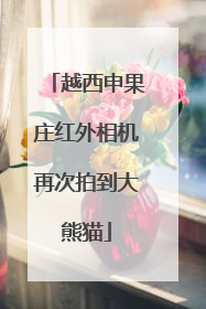 越西申果庄红外相机再次拍到大熊猫
