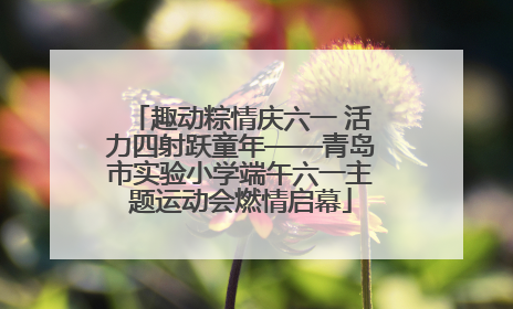 趣动粽情庆六一 活力四射跃童年——青岛市实验小学端午六一主题运动会燃情启幕