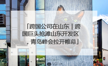 跨国公司在山东｜跨国巨头抢滩山东开发区，青岛峰会拉开帷幕