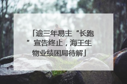 逾三年易主“长跑”宣告终止，海王生物业绩困局待解