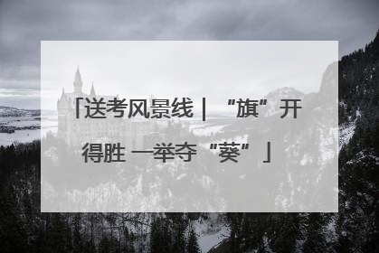 送考风景线｜“旗”开得胜 一举夺“葵”