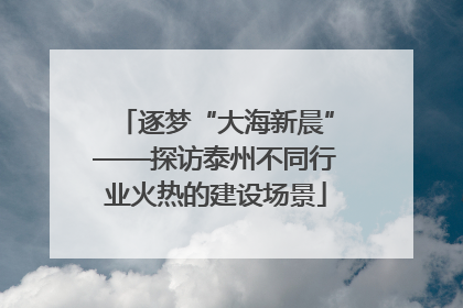 逐梦“大海新晨”——探访泰州不同行业火热的建设场景
