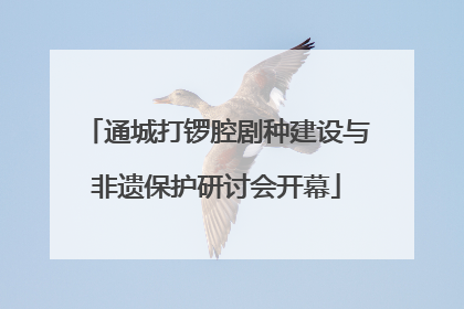 通城打锣腔剧种建设与非遗保护研讨会开幕