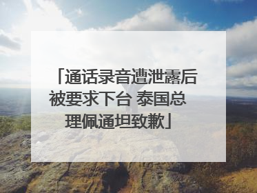 通话录音遭泄露后被要求下台 泰国总理佩通坦致歉