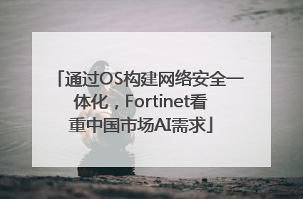 通过OS构建网络安全一体化，Fortinet看重中国市场AI需求