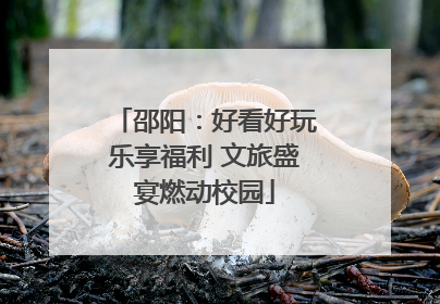 邵阳：好看好玩乐享福利 文旅盛宴燃动校园
