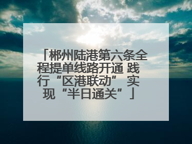 郴州陆港第六条全程提单线路开通 践行“区港联动” 实现“半日通关”
