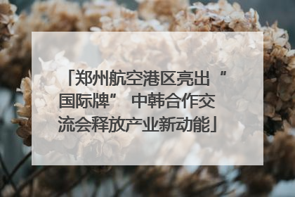 郑州航空港区亮出“国际牌” 中韩合作交流会释放产业新动能