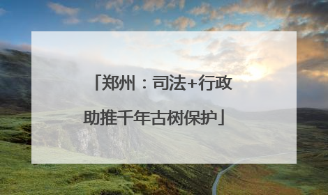 郑州：司法+行政助推千年古树保护
