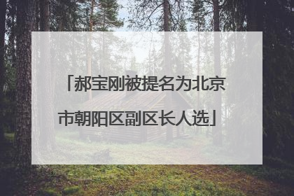 郝宝刚被提名为北京市朝阳区副区长人选