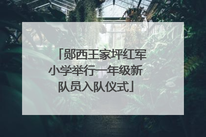 郧西王家坪红军小学举行一年级新队员入队仪式