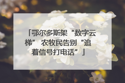 鄂尔多斯架“数字云梯” 农牧民告别“追着信号打电话”