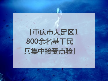 重庆市大足区1800余名基干民兵集中接受点验