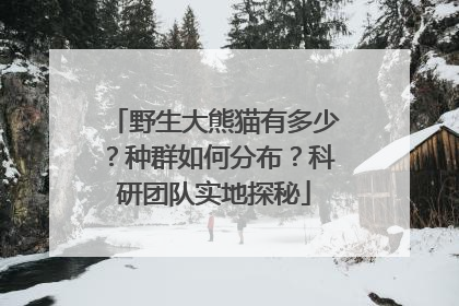 野生大熊猫有多少？种群如何分布？科研团队实地探秘